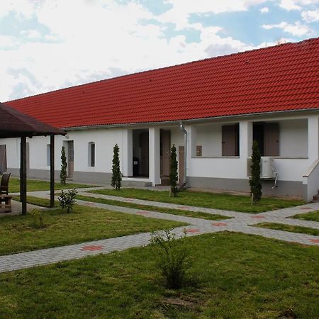 Das Blaue Haus Guesthouse - Kovacshida Dış mekan fotoğraf