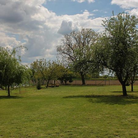 Das Blaue Haus Guesthouse - Kovacshida Dış mekan fotoğraf